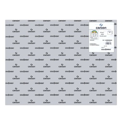 [3148950402431] CARTULINA GUARRO 50X65 185GR GRIS PERLA